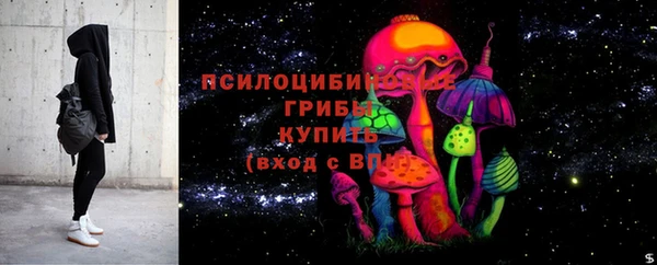 СК Балахна