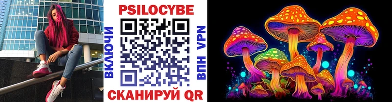 Псилоцибиновые грибы Psilocybe  kraken онион  darknet какой сайт  Бирюсинск 