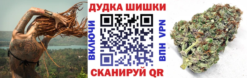 цены наркотик  Бирюсинск  Конопля сатива 